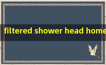  filtered shower head home depot